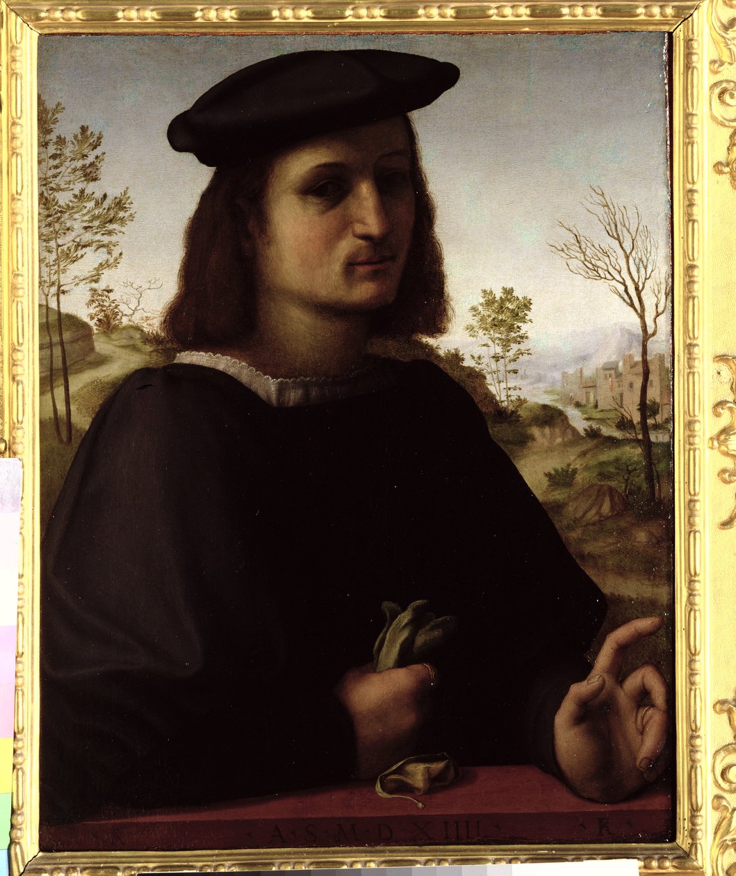 Portræt af en ungdom med handsker, 1514 af Francesco di Cristofano Franciabigio