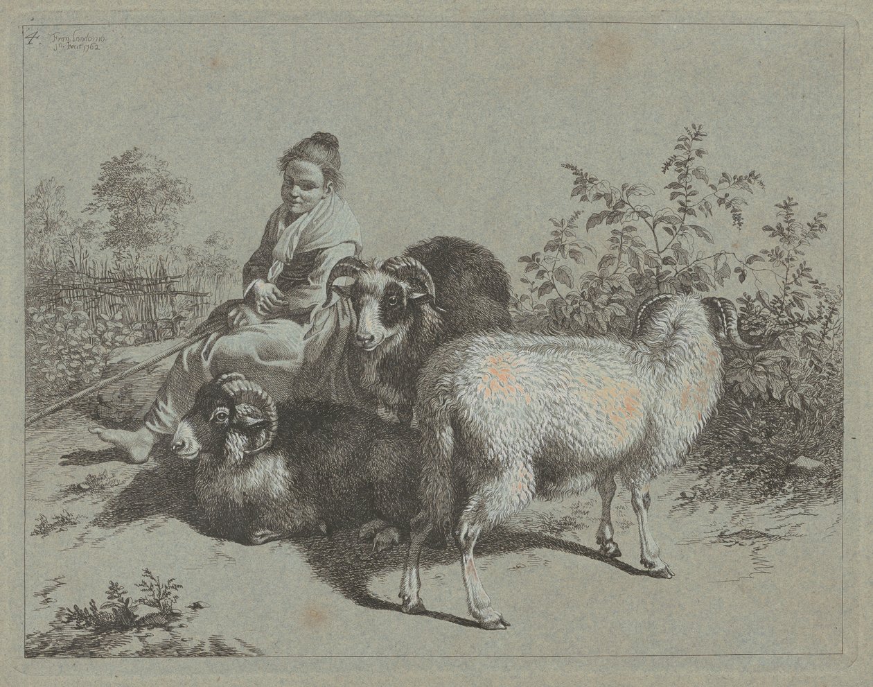 Siddende hyrdinde med tre væddere, 1762. af Francesco Londonio