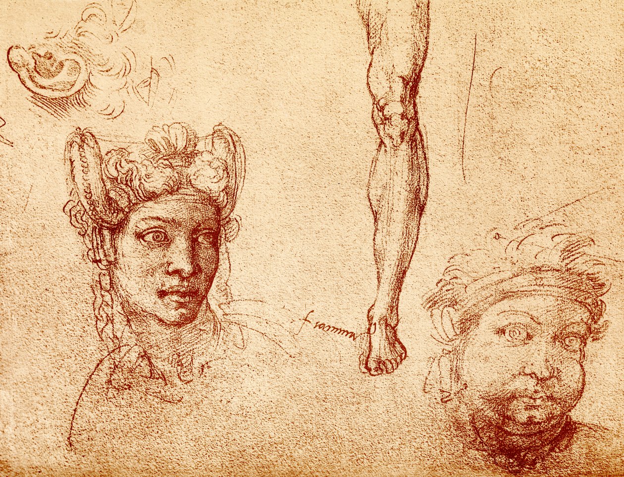 Hoved- og benstudier af Francesco Ubertini Bacchiacca