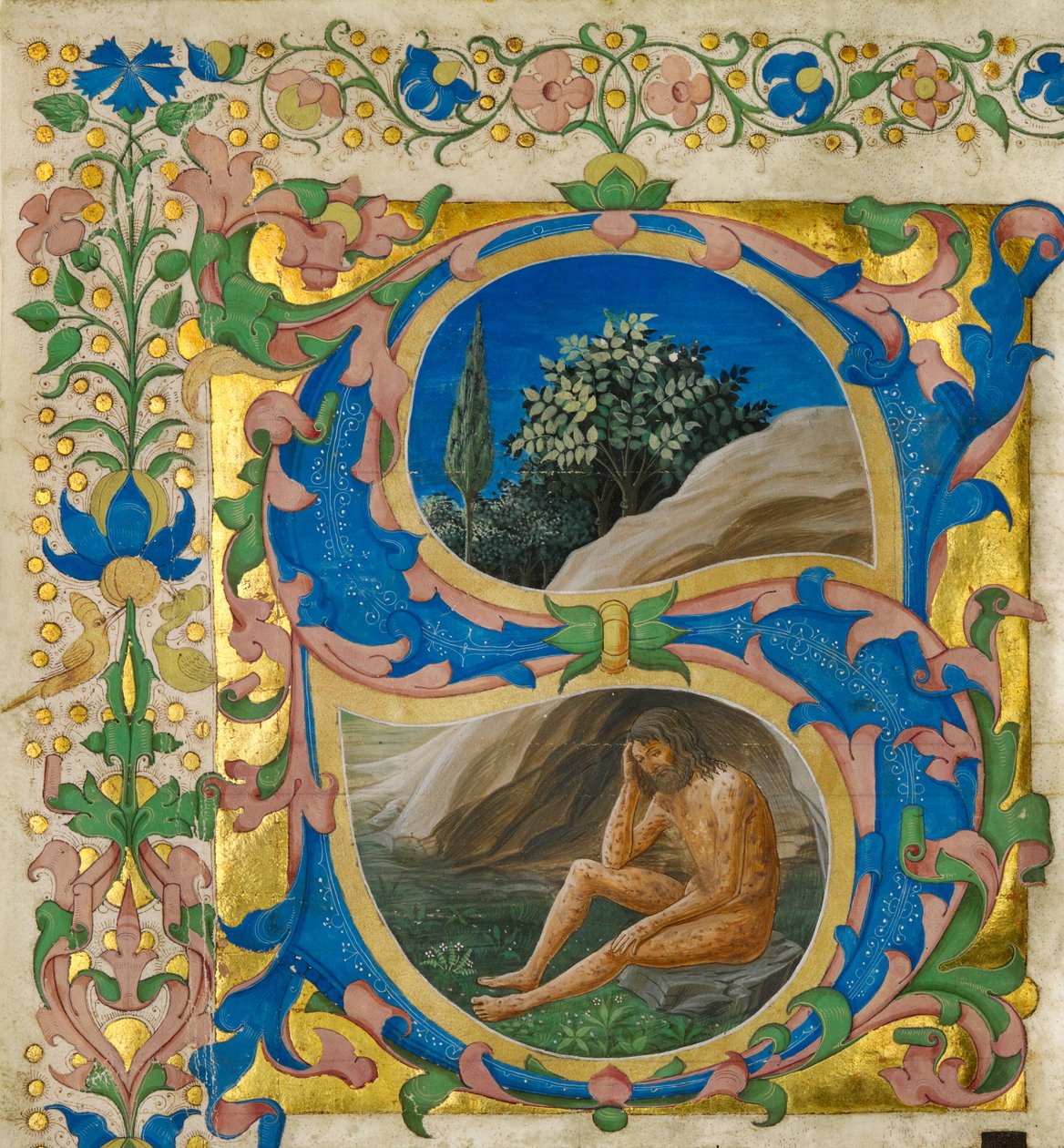 Indledende S: Job af Francesco di Antonio del Chierico