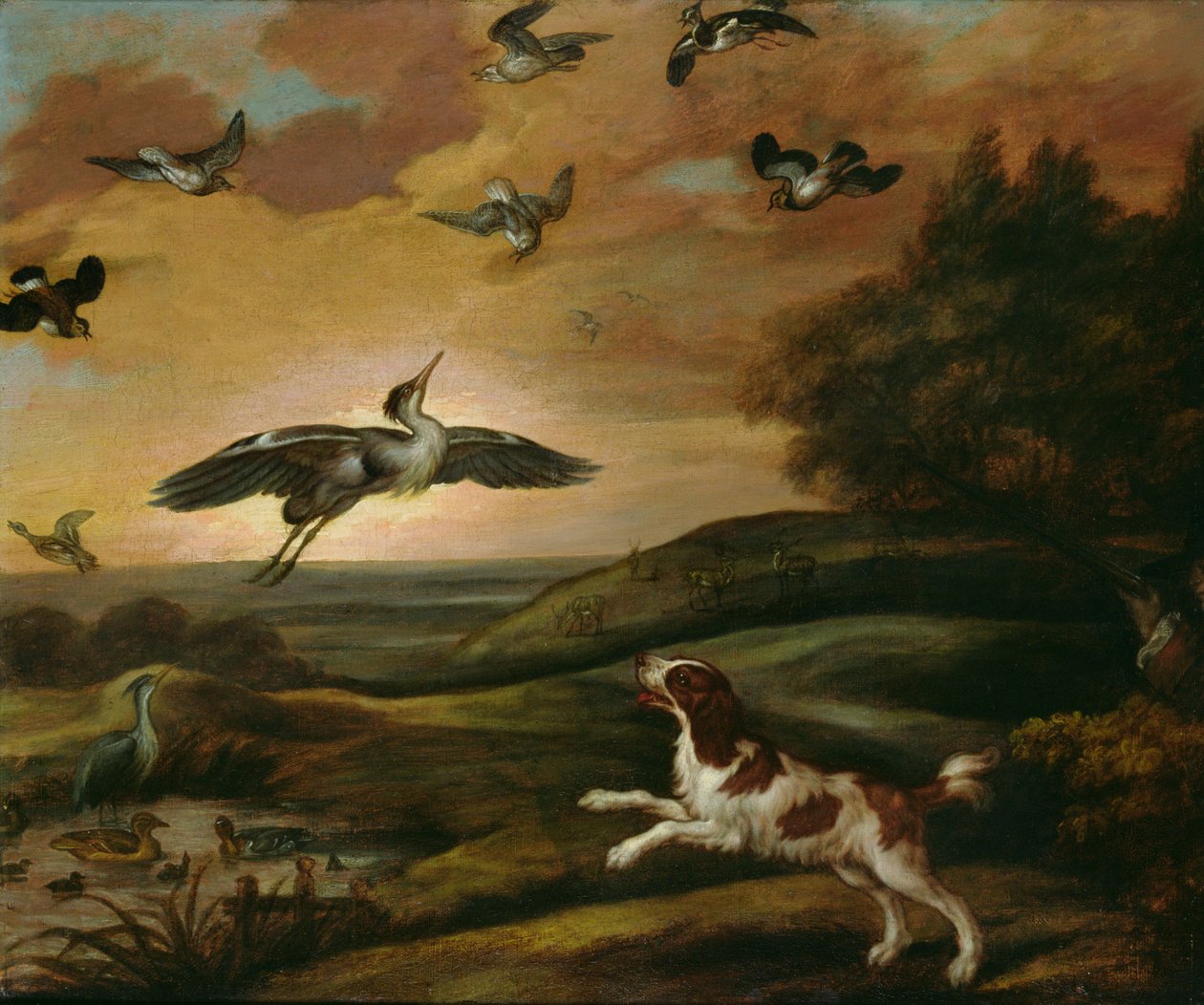 Plover skydning af Francis Barlow