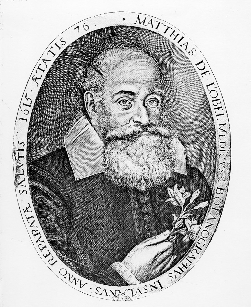 Matthias af Obel af Francis Delaram