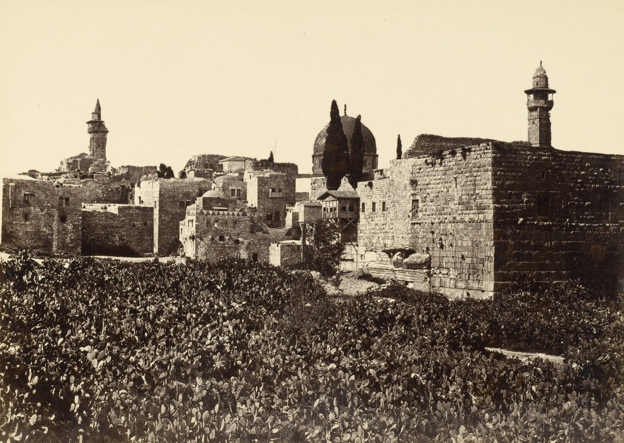 Affaldssteder i Jerusalem mellem Zion -bjerget og det hellige tempel af Francis Frith