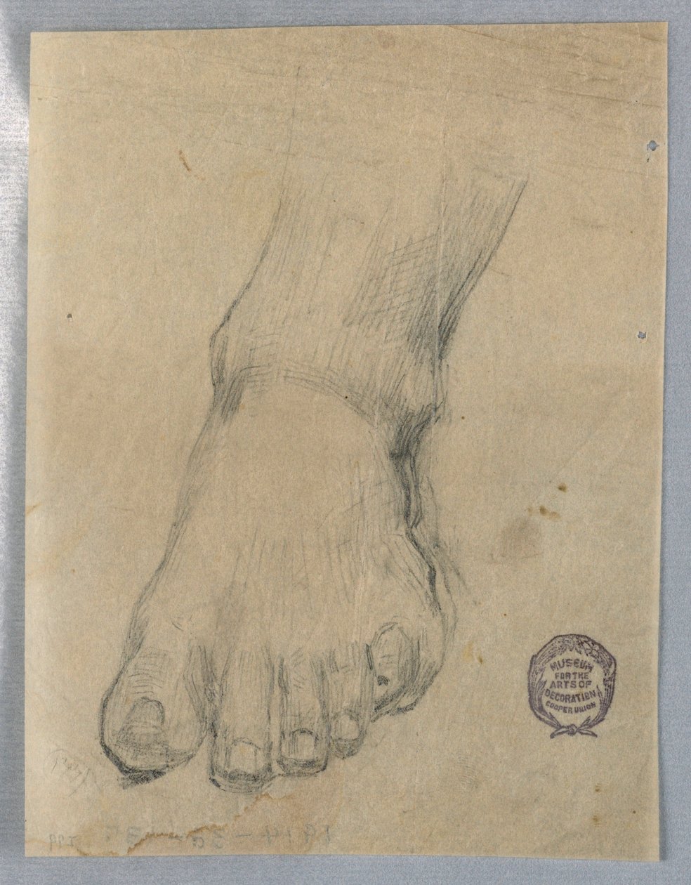 Studer for en fod af Francis Augustus Lathrop