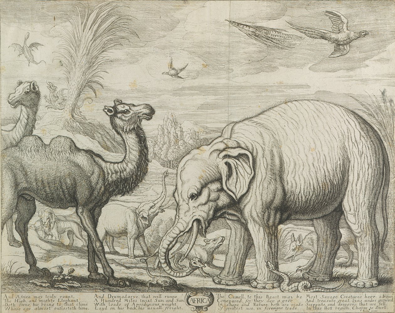 Afrika, 1672 af Francis Barlow