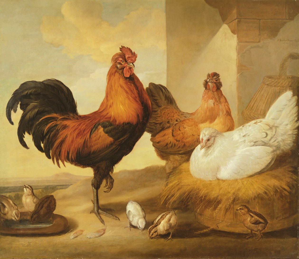 Tamhane, høns og kyllinger, 1655 af Francis Barlow