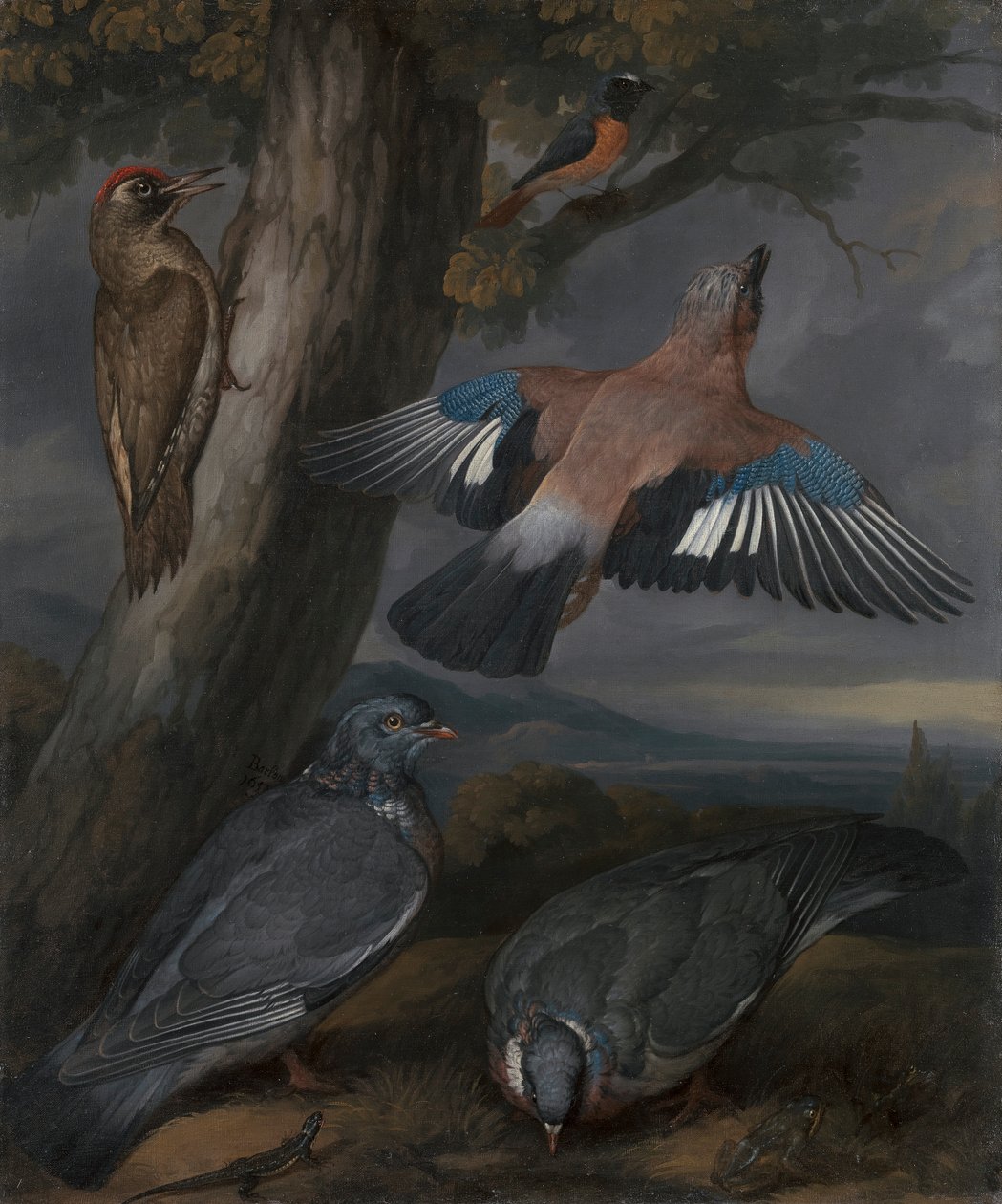 Jay, Green Woodpecker, duer og Redstart af Francis Barlow