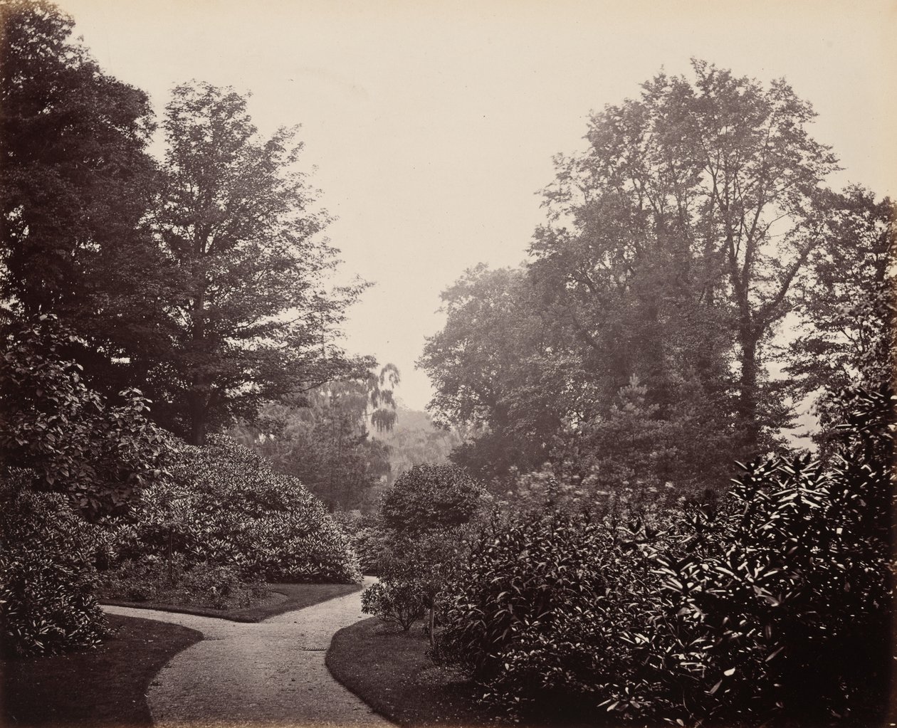 Sti i Alexandra Park, ca. 1863 (foto) af Francis Bedford