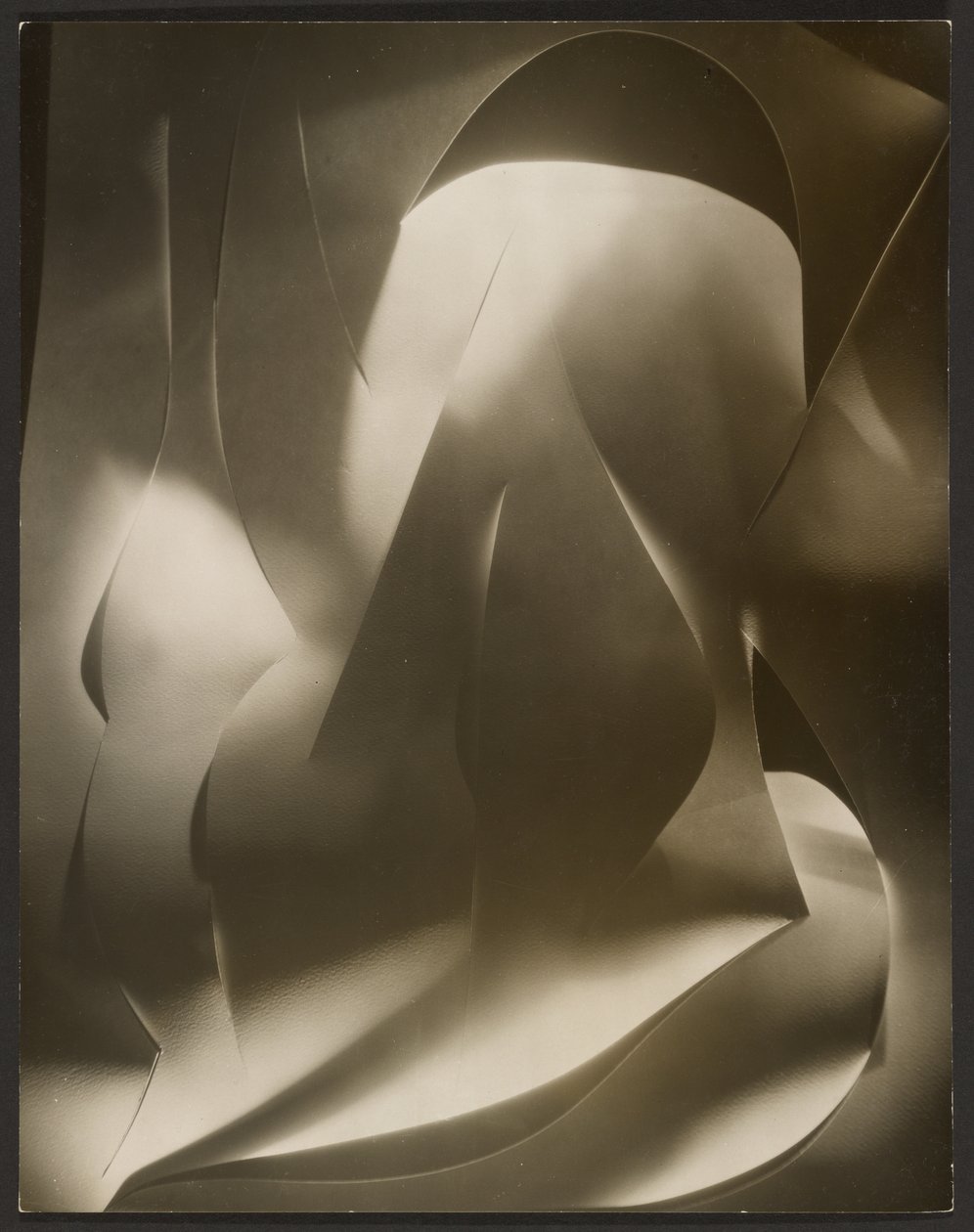 [Cut-paper Abstraction] af Francis Bruguière