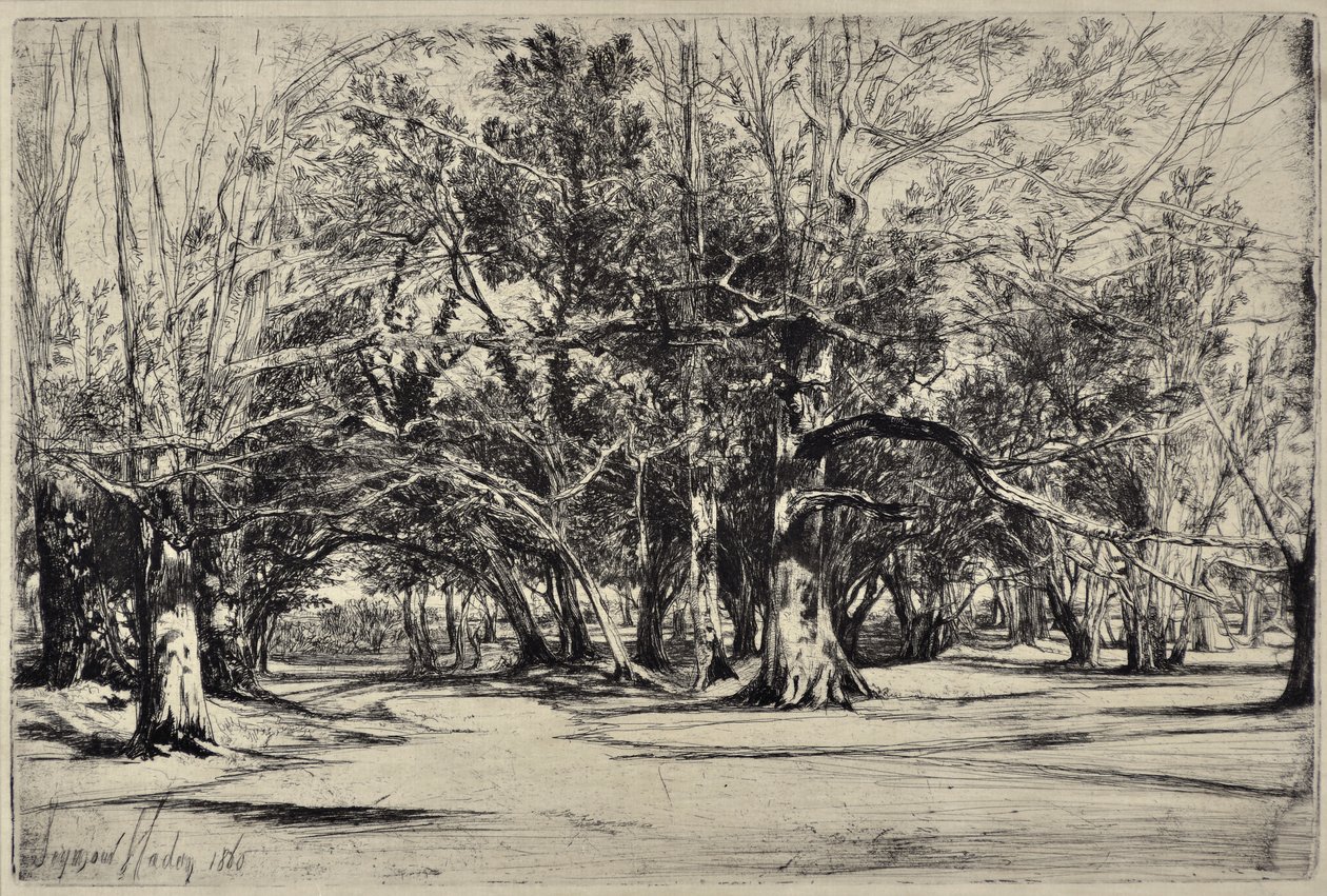 En omvej i Tipperary af Francis Seymour Haden