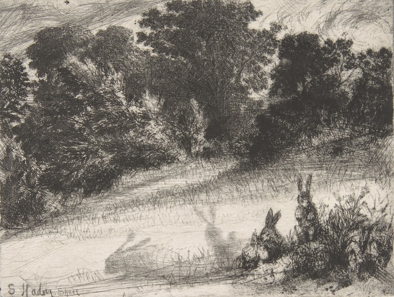 Combe Bottom, 1860., 1860. af Francis Seymour Haden