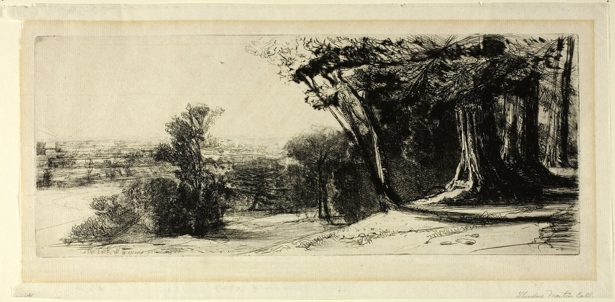 Tidlig morgen, Richmond Park af Francis Seymour Haden