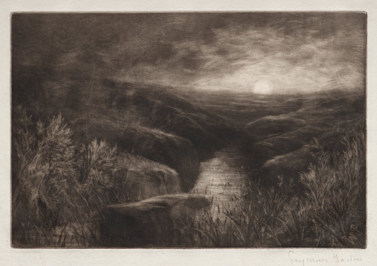 Myggens tilholdssted af Francis Seymour Haden