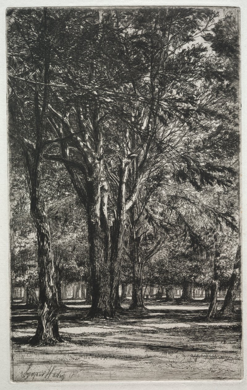 Kensington Gardens (Den Store Plade) af Francis Seymour Haden