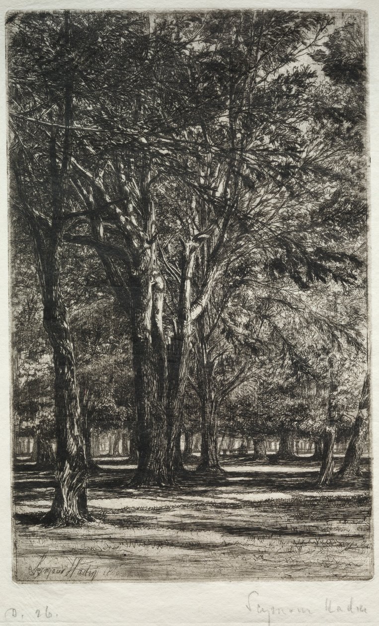 Kensington Gardens The Larger Plate, 1860. af Francis Seymour Haden