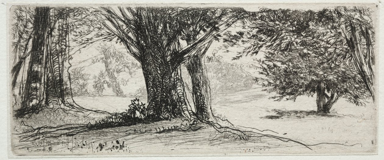 Holly Field. af Francis Seymour Haden