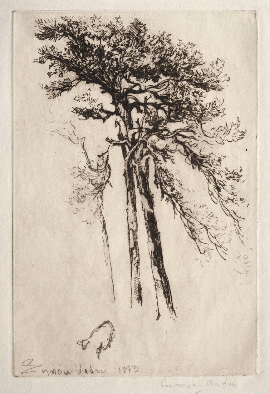 Det seneste træ, 1882. af Francis Seymour Haden