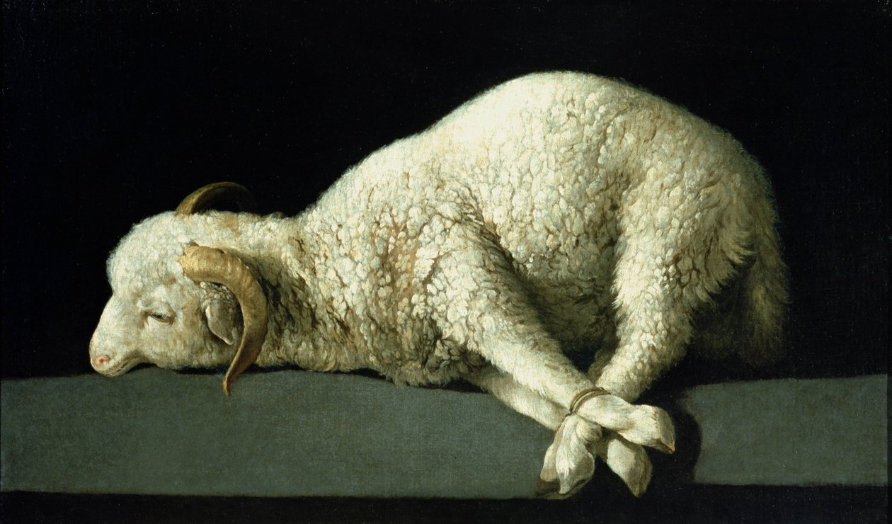 Guds lam, ca. 1635-40 af Francisco de Zurbaran