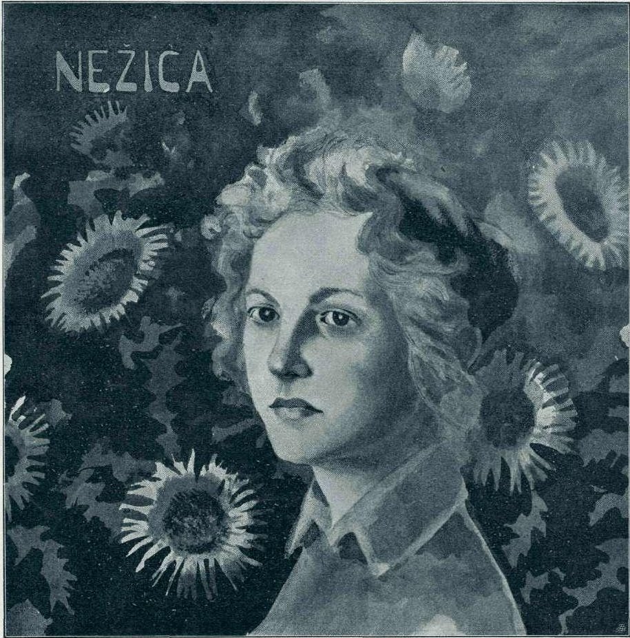 Nezicansk af Francisek Dobnikar