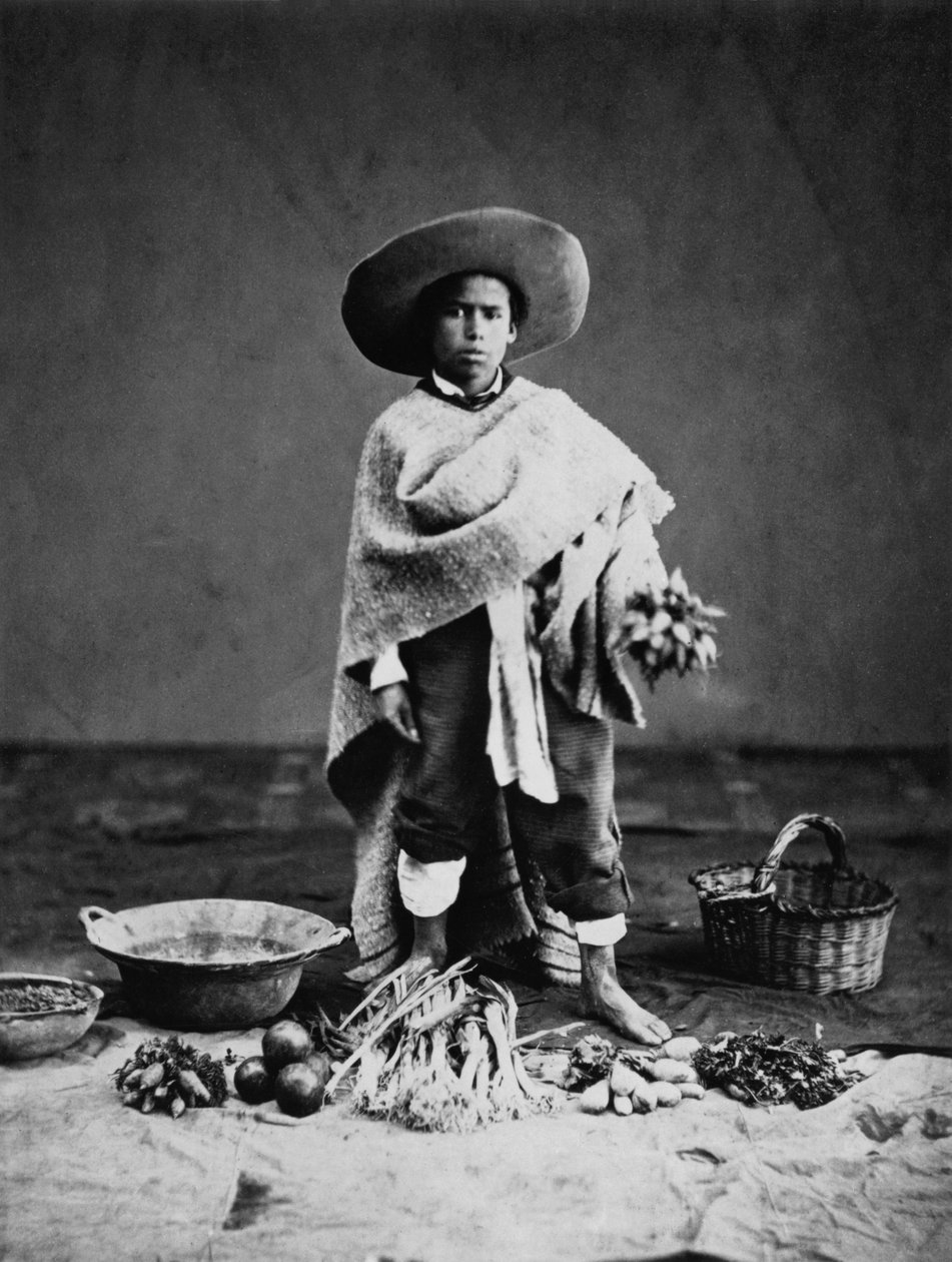 Indfødt i Mexico af Francois Aubert