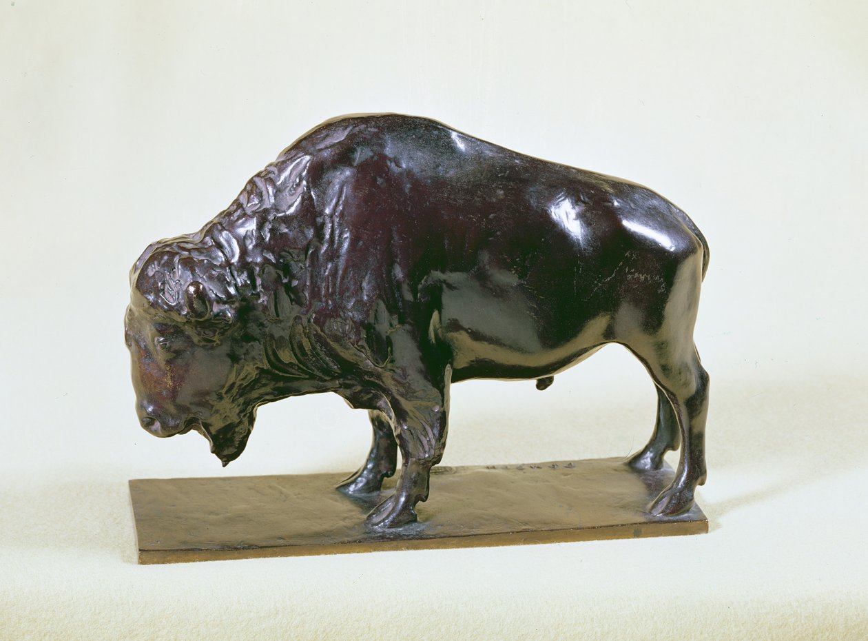 Bison, 1907 (bronze) af Francois Pompon