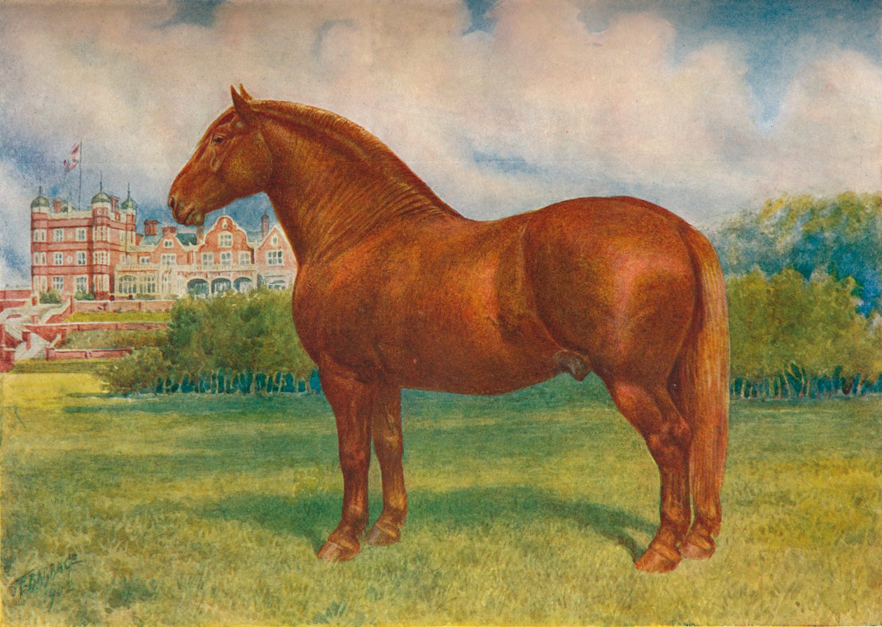 Suffolk far Prince Wedgwood, c1902 c1910 af Frank Babbage