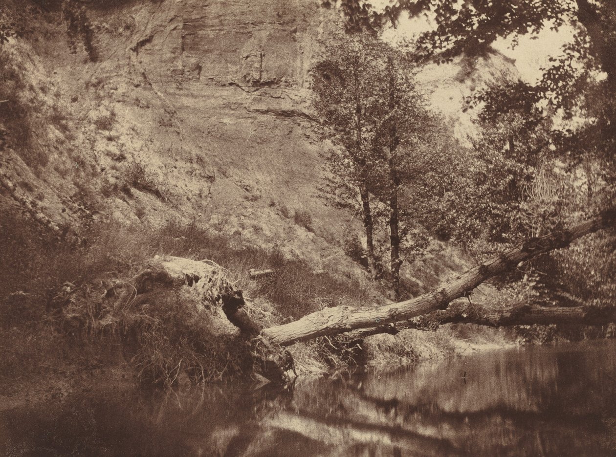 Riverbank, ca. 1855. af Frank Chauvassaigne