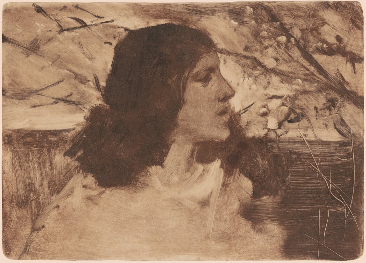 Hoved af en kvinde af Frank Duveneck