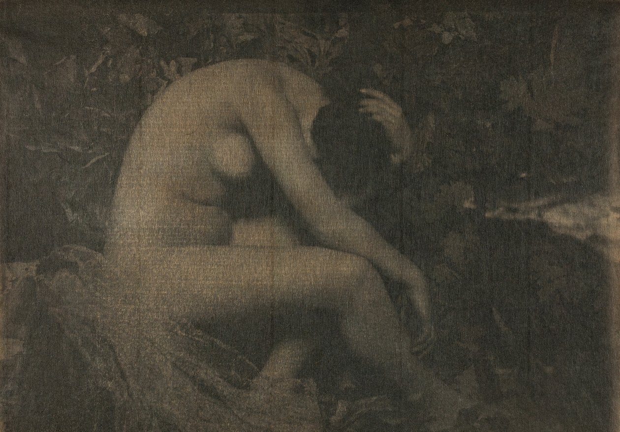 Cikaden, 1898. af Frank Eugene