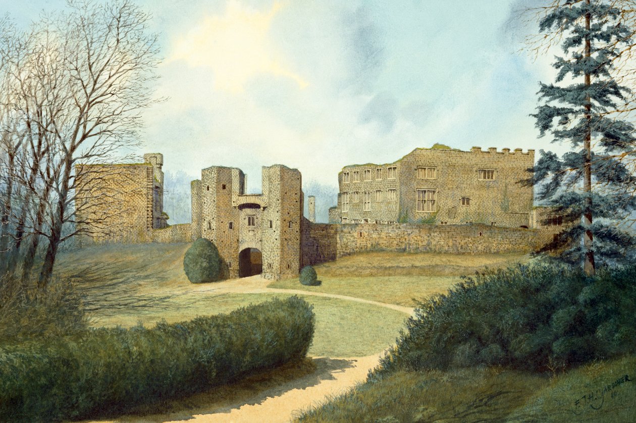 Berry Pomeroy Castle, 15. århundrede, c1990-2010 af Frank Gardiner