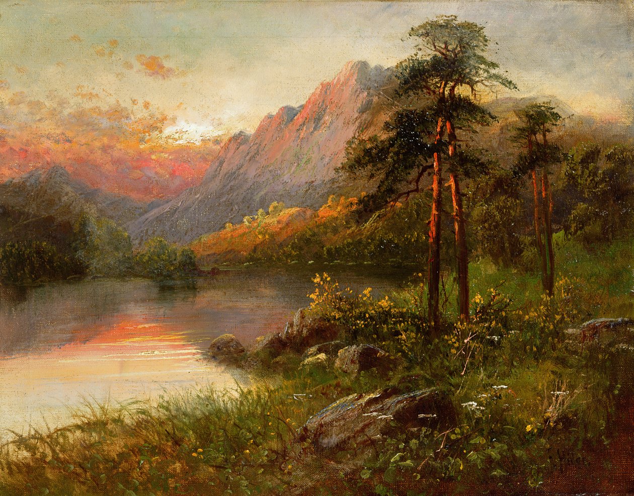 Highland Solitude af Frank Hider