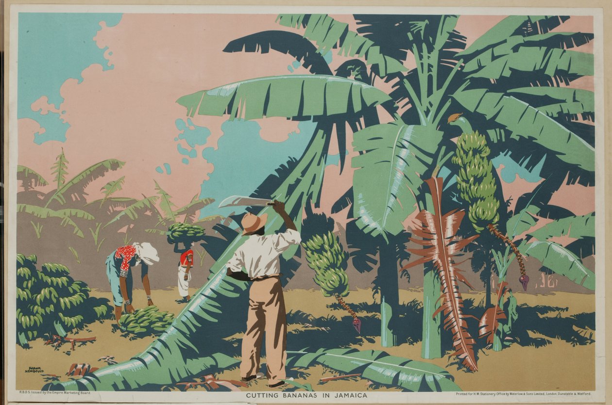 Skæring af bananer på Jamaica (farve litho) af Frank Newbould