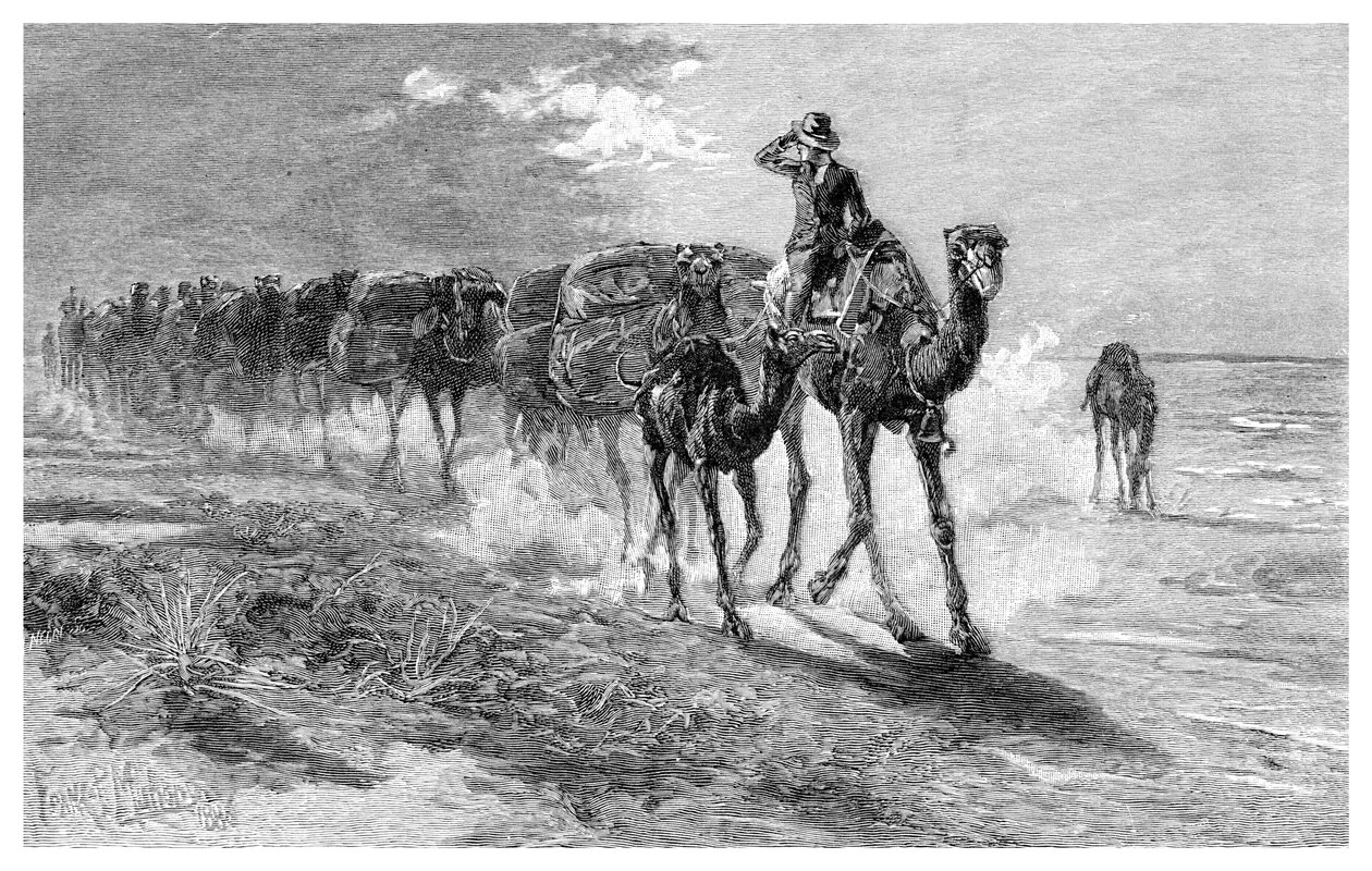 Kameler, der bærer uld, 1886. af Frank P. Mahony