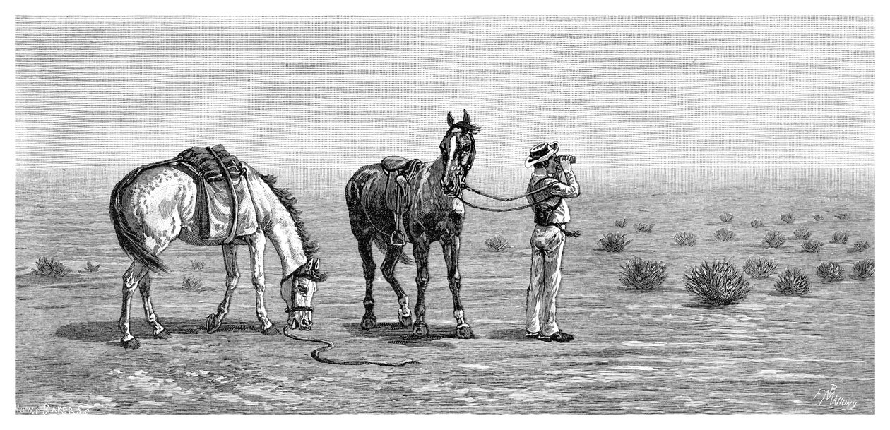 Intet i sigte, 1886. af Frank P. Mahony