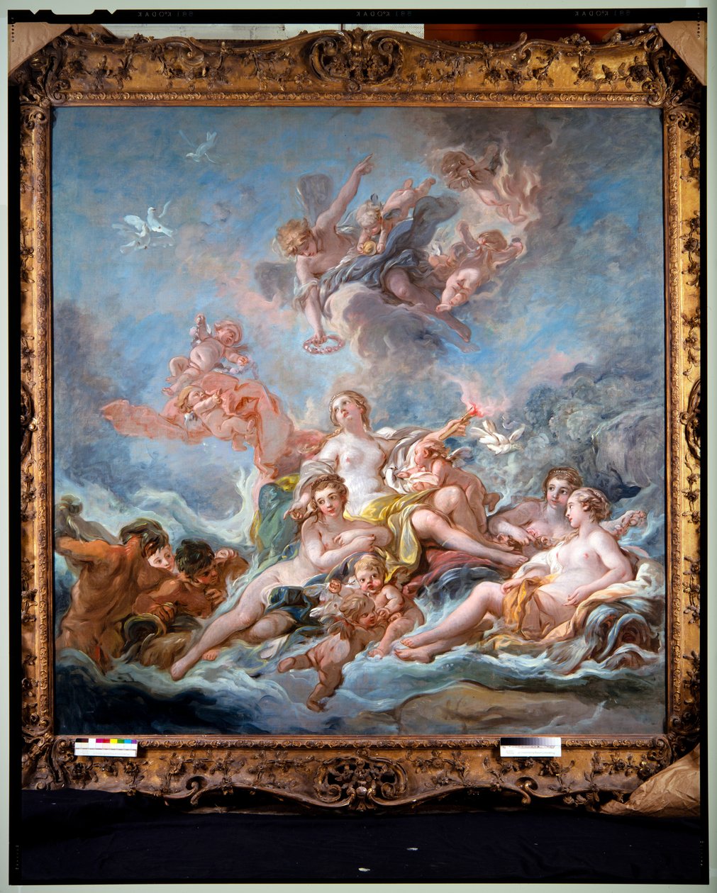 Venus