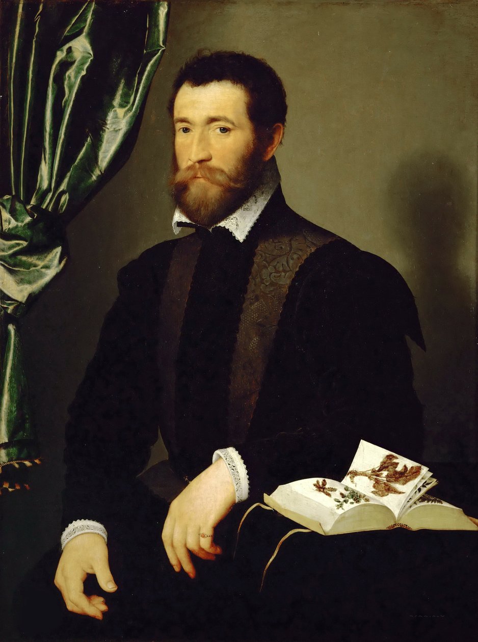 Portræt af Pierre Quthe, apoteker, 1562. af François Clouet