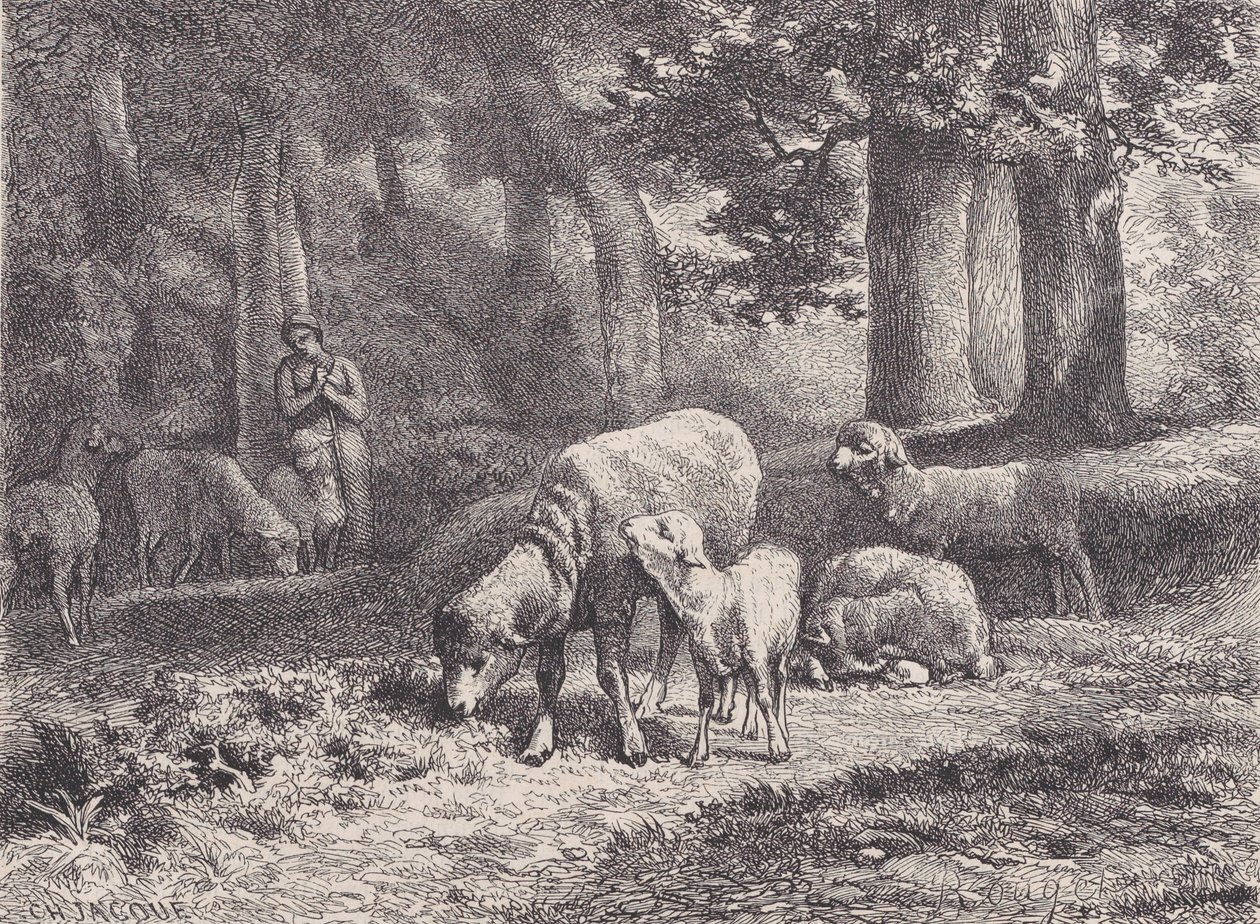 Fårene, fra Magasin Pittoresque, 1862. af François Rouget