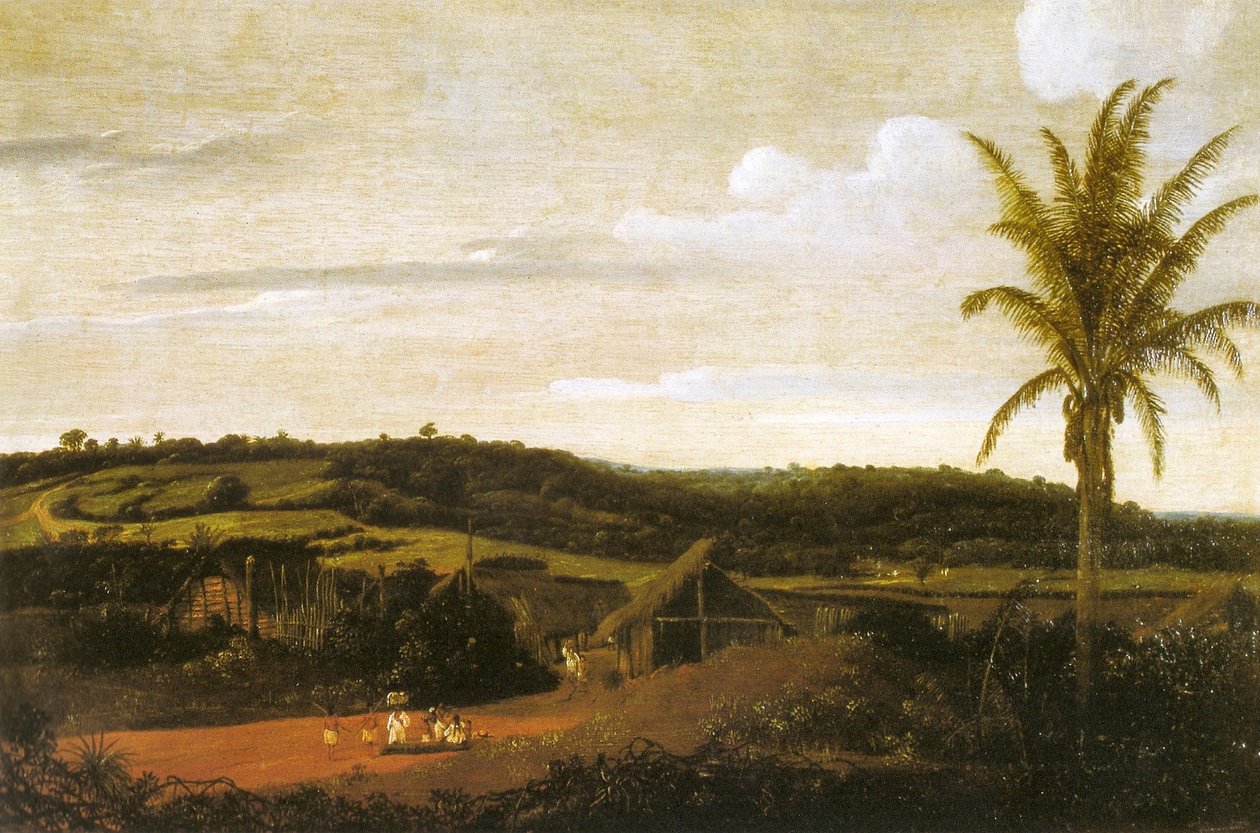 Hytter af Frans Post