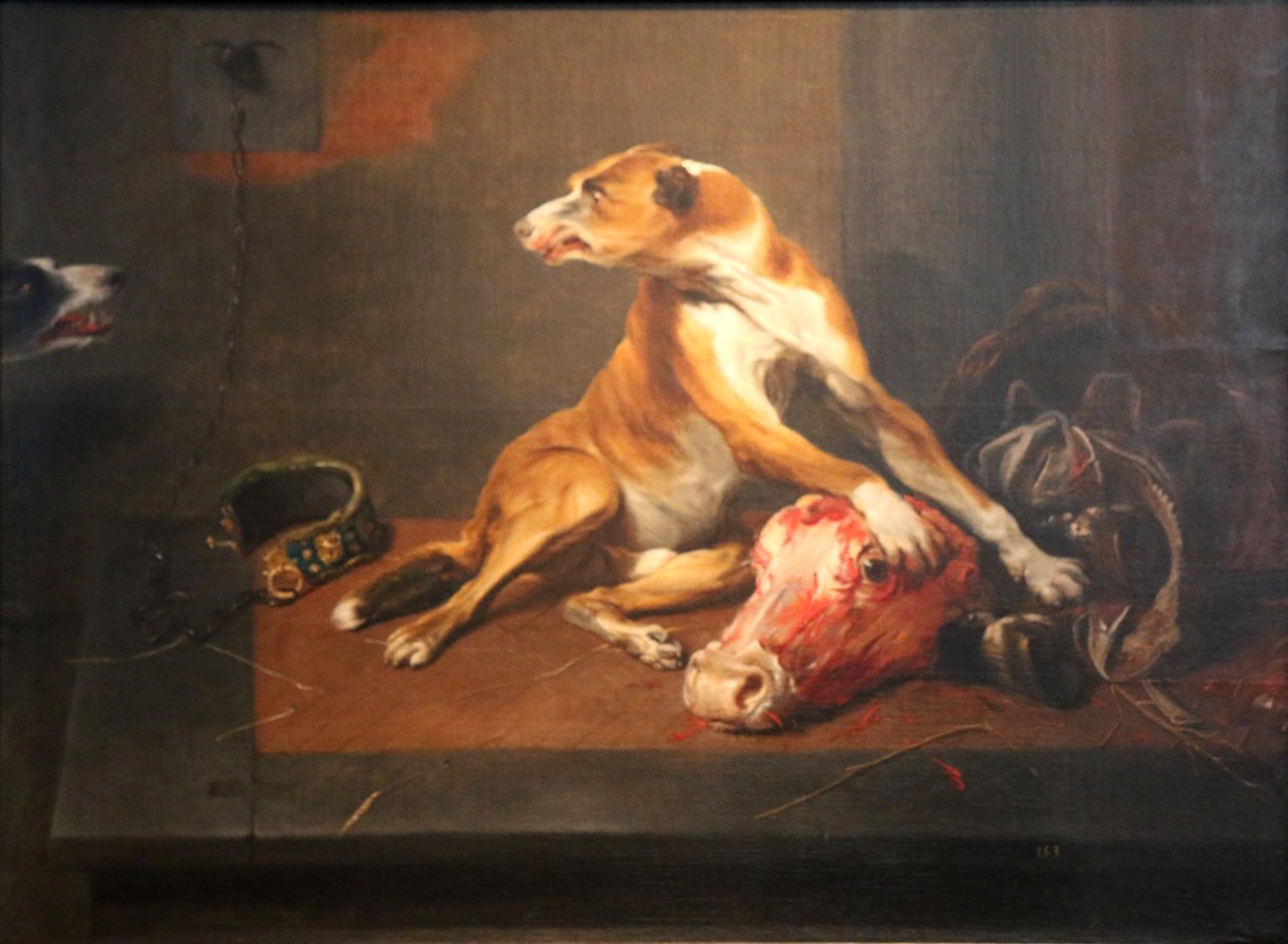 To hunde i et spisekammer af Frans Snyders or Snijders