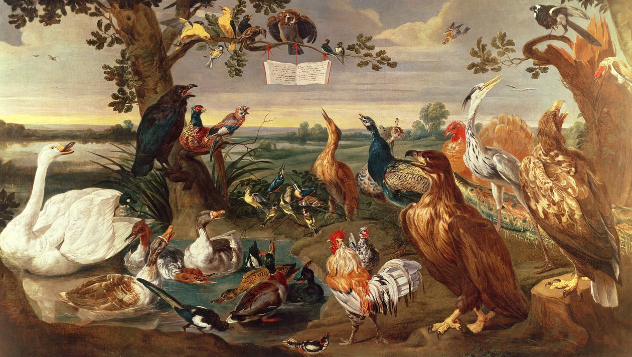 Forskellige Fugle af Frans Snyders or Snijders