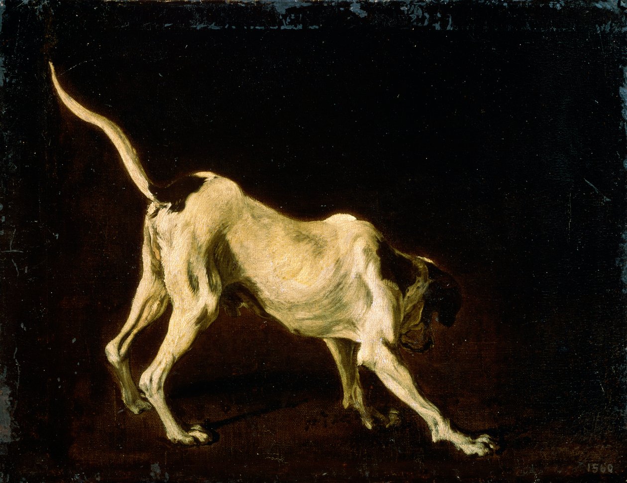 En hund, 1600-tallet af Frans Snyders or Snijders