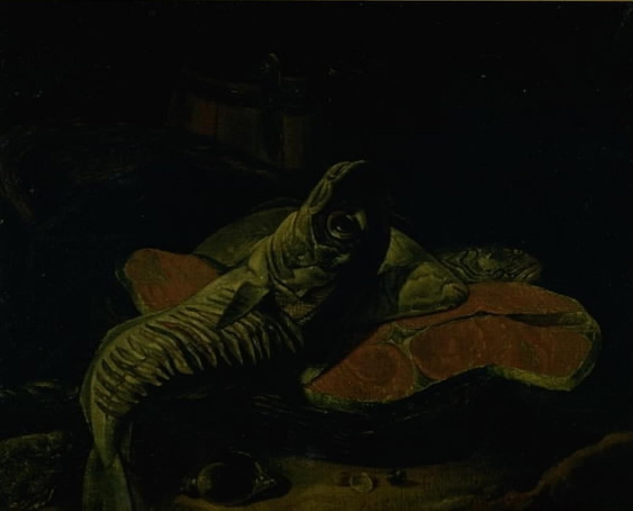 Fisk af Frans van