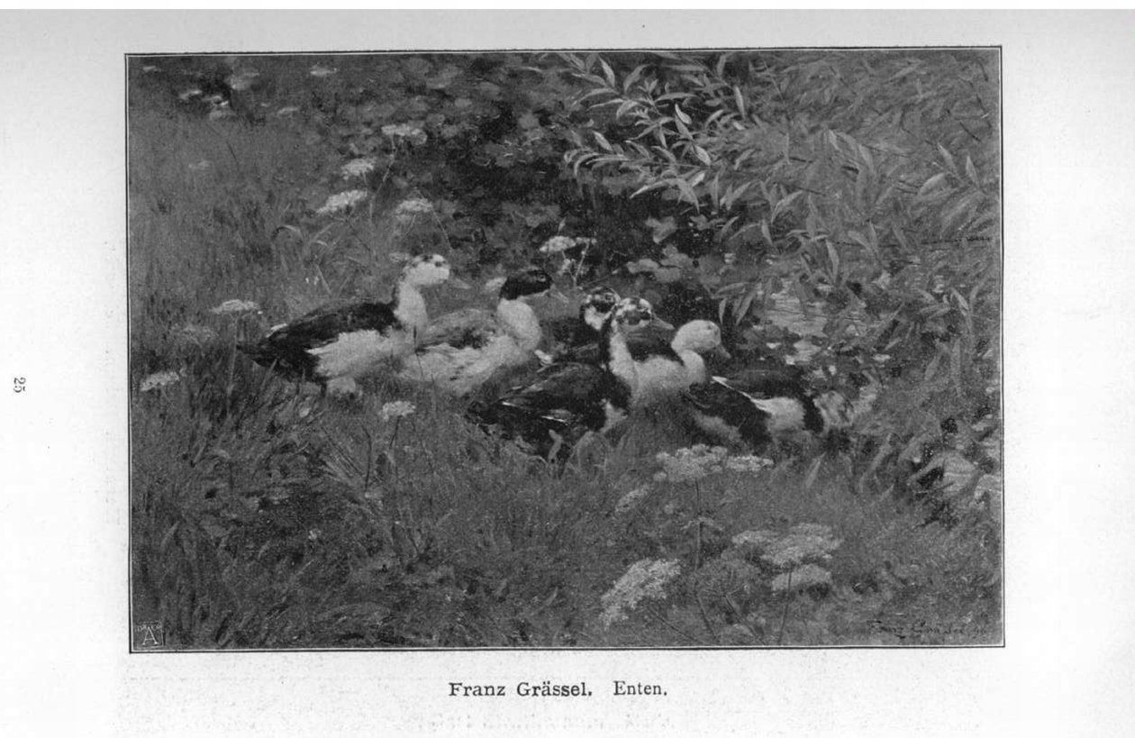 Enten af Franz Grassel