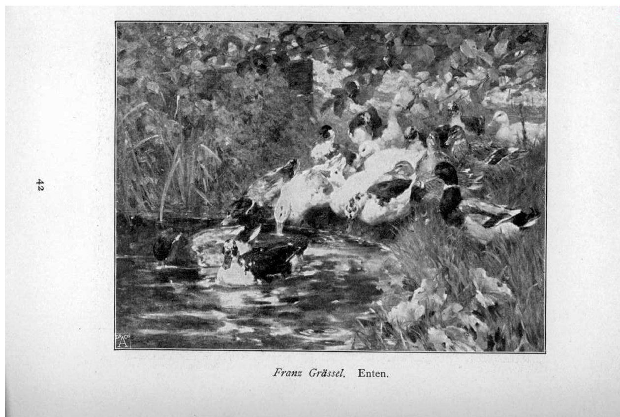 Enten af Franz Grassel