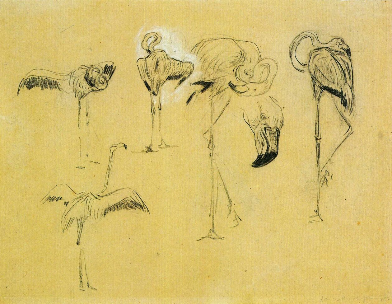 Flamingoer af Franz Marc