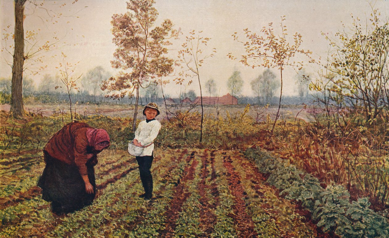 Violmarken, 1867, c1915 af Fred Walker