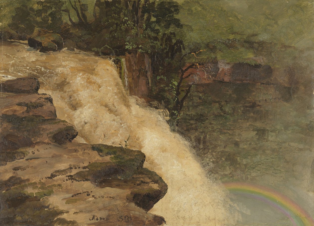 Et vandfald i Colombia af Frederic Edwin Church