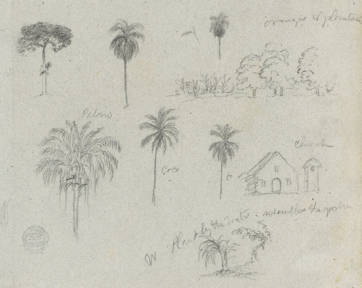 Skitser fra Rio Magdalena, Colombia. Botaniske skitser. En kirke. Ligner -103. af Frederic Edwin Church