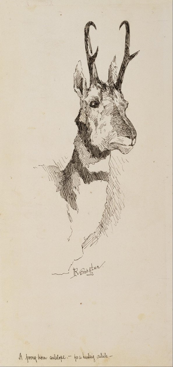 En pronghornantilope af Frederic Remington