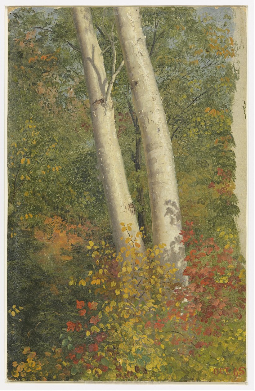 Birketræer i efteråret af Frederic Edwin Church
